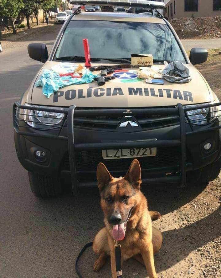 Photo of Morre cão Max, do Canil da PM de Chapecó