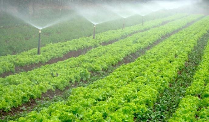 Photo of Governo do Estado investe R$ 77,4 milhões em programas de fomento agropecuário