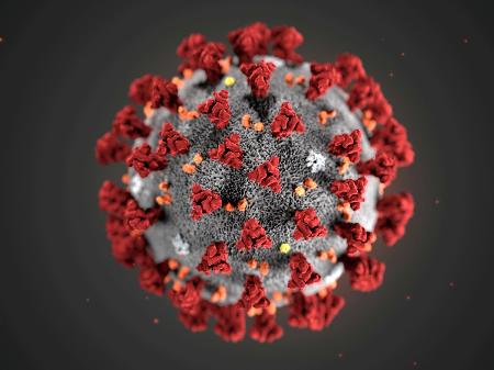 Photo of OMS registra 142 mil novos casos de coronavírus no mundo