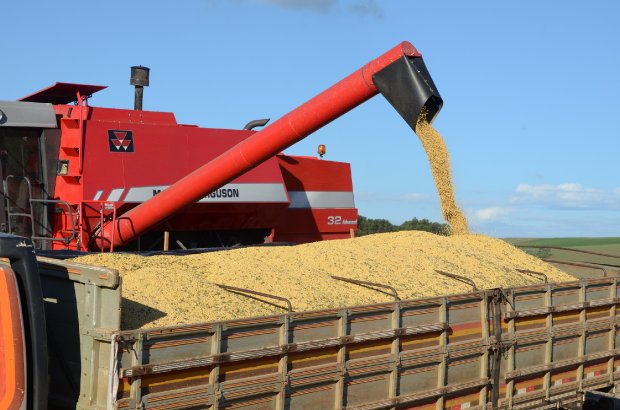 Photo of Agronegócio responde por 72% das exportações catarinenses no 1° semestre
