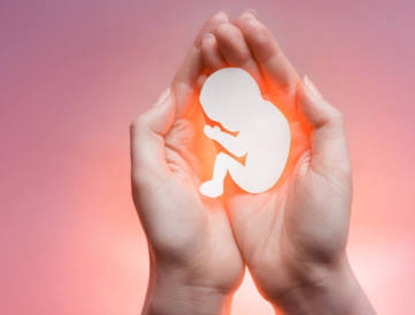 Photo of De 25 países, Brasil é o segundo menos favorável à legalização do aborto