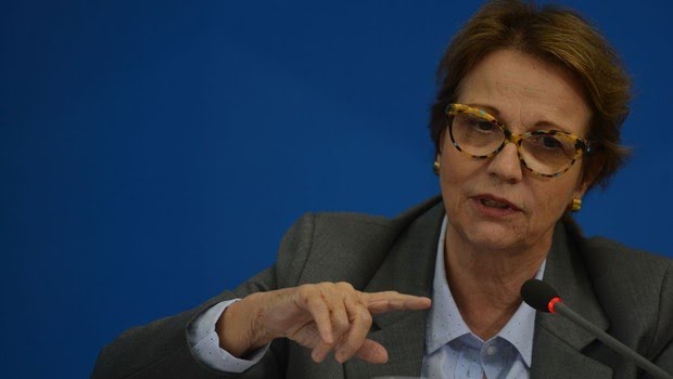Photo of Agronegócio ajudou a segurar PIB durante a pandemia