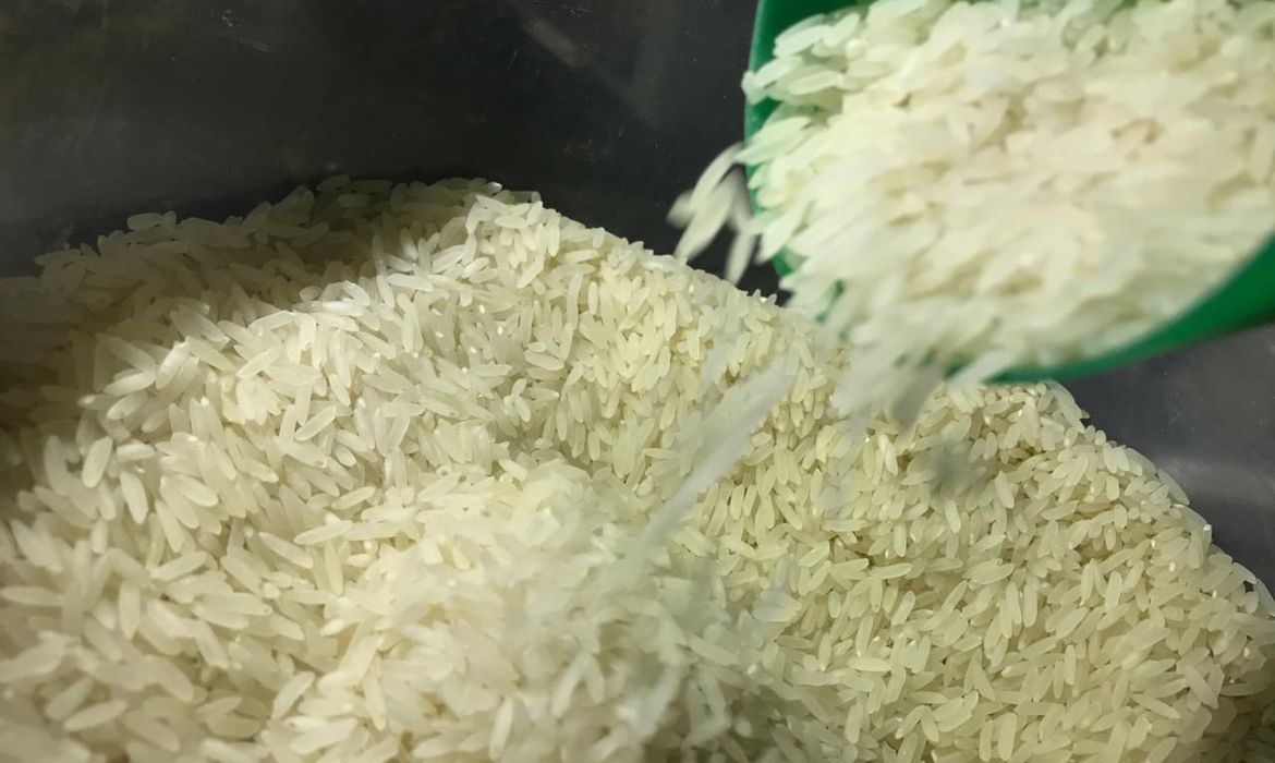 Photo of Governo zera imposto de importação do arroz até o final do ano