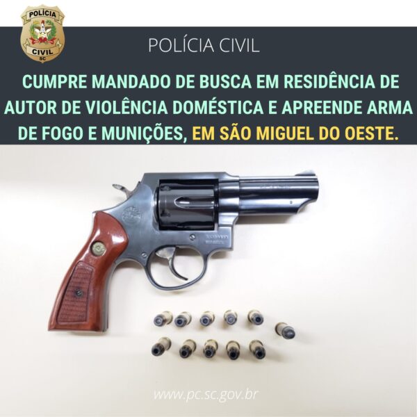 Photo of Polícia apreende revólver e munições de investigado por violência doméstica