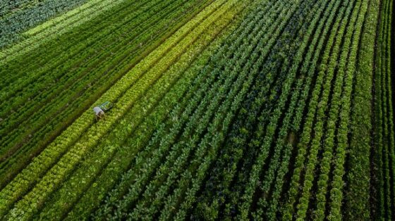 Photo of Santa Catarina lança programa de inovação voltado para o agronegócio