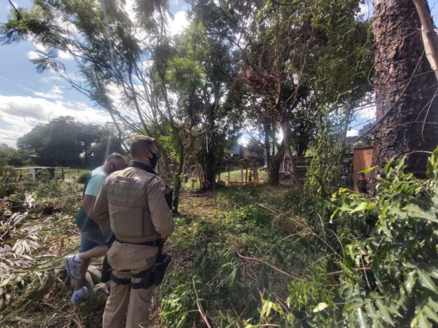 Photo of Famílias invadem área de preservação permanente, em Chapecó