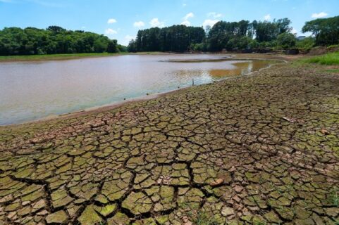 Photo of SC investirá mais R$ 100 milhões para minimizar os impactos da estiagem no meio rural