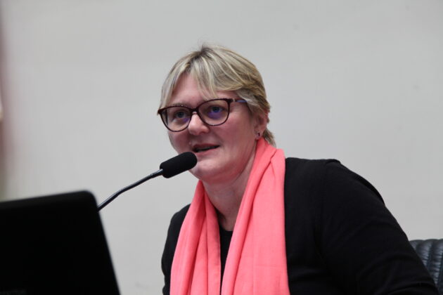 Photo of Luciane Carminatti assume coordenação da Bancada Feminina da Alesc