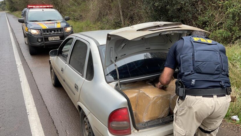 Photo of PRF apreende 700 quilos de camarão contrabandeado