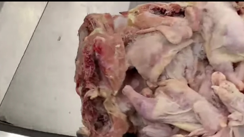 Photo of VÍDEO: Frango cru misterioso em bagagem mobiliza aeroporto