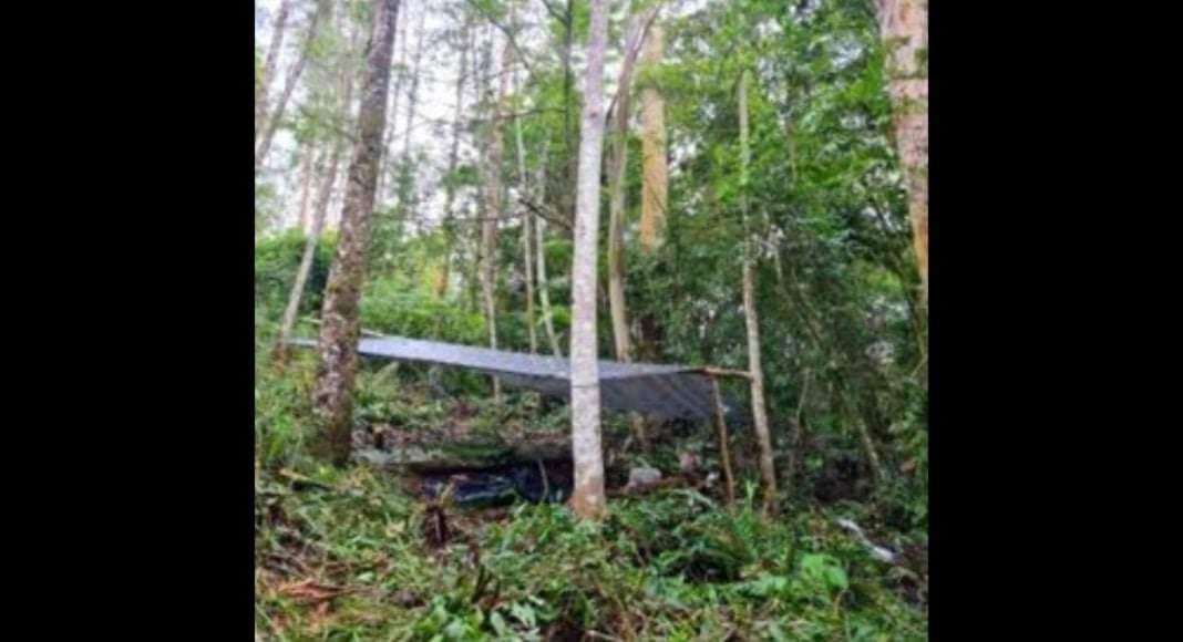 Photo of Polícia encontra acampamento clandestino usado para furtar palmitos em SC