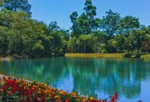 Photo of Ecoparque será reinaugurado com lago, chafariz e nova iluminação