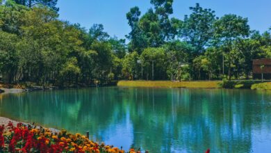 Photo of Ecoparque será reinaugurado com lago, chafariz e nova iluminação