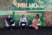 Photo of Santa Catarina aposta na produção de cereais de inverno para minimizar o déficit de milho