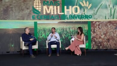 Photo of Santa Catarina aposta na produção de cereais de inverno para minimizar o déficit de milho
