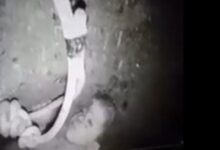 Photo of Com fim da escavação, médicos atendem menino em poço; resgate está perto do fim