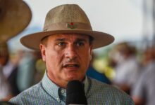 Photo of Altair Silva participa de colheita do arroz em Itajaí