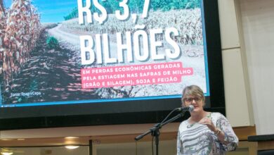 Photo of ESTIAGEM: “Prejuízos chegam a R$ 3,7 bilhões, e auxílio não chega a R$ 300 mil”, protesta Luciane Carminatti