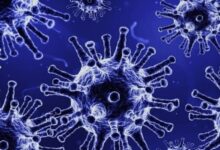 Photo of Prejuízos durante pandemia precisam ser comprovados, diz TJ