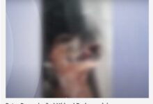 Photo of Abrigo de animais em SC que mantinha cães em freezer é denunciado por maus-tratos