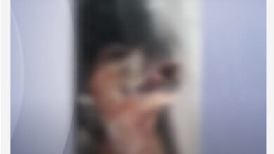 Photo of Abrigo de animais em SC que mantinha cães em freezer é denunciado por maus-tratos