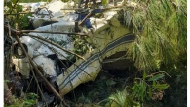 Photo of Avião cai cai em cidade catarinense, piloto é salvo por populares