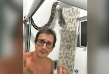 Photo of Vídeo mostra jiboia tomando banho de chuveiro em SC