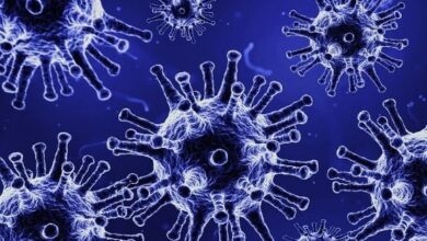 Photo of Brasil confirma dois casos da ‘deltacron’: o que se sabe sobre nova variante do coronavírus’