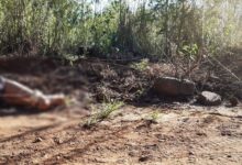 Photo of Jovem é amordaçado, marcado por sigla de facção na testa e executado em Chapecó