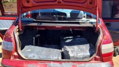 Photo of Ação conjunta apreende 100 quilos de maconha no Oeste catarinense