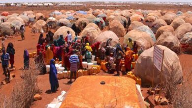 Photo of Guerra já afeta segurança alimentar na África e no Oriente Médio