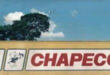 Photo of Justiça autoriza pagamento a credores do Frigorífico Chapecó, um dos maiores do país