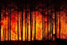 Photo of Terra pode ficar 3,2ºC mais quente até final do século, diz agência da ONU