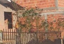 Photo of Homem esquarteja cachorro e pendura cabeça na cerca da casa