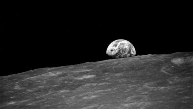 Photo of Experimento nos Estados Unidos cultiva plantas em solo lunar pela primeira vez