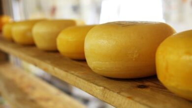 Photo of Idoso será indenizado em R$ 10 mil por encontrar pedaço de borracha dentro de queijo