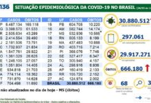 Photo of COVID-19: Brasil teve 33,9 mil novos casos e 143 mortes em 24 horas