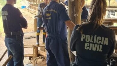 Photo of Caoagro da Polícia Civil participa de operação com Cidasc e Polícia Ambiental em Ipuaçú
