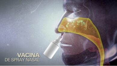 Photo of Vacina de spray nasal pode ser o caminho para o fim da pandemia, dizem cientistas