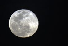 Photo of ASTRONOMIA: julho terá chuva de meteoros e Lua dos Cervos