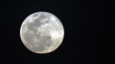 Photo of ASTRONOMIA: julho terá chuva de meteoros e Lua dos Cervos
