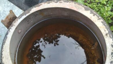 Photo of Mutirão da dengue sai do Bormann e vai para o bairro Progresso