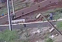 Photo of VÍDEO: Idoso é atacado por cachorros e derrubado de bicicleta