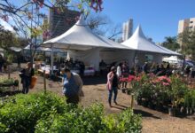 Photo of Mercado Público de Chapecó terá feira de mudas, flores, chás, artesanato e produtos coloniais