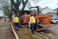 Photo of Projeto de Chapecó para combate do efeito estufa fica em terceiro no Brasil