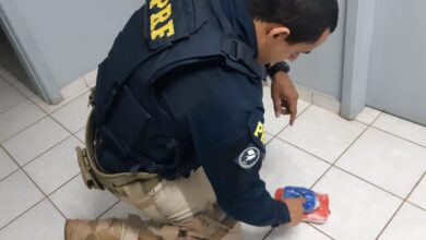 Photo of Mais de R$ 160 mil em cocaína e crack são apreendidos no oeste catarinense