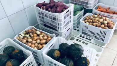 Photo of Prefeitura de Chapecó cadastra produtores rurais para aquisição de alimentos