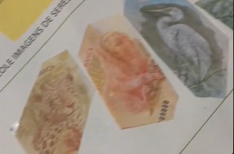 Photo of Criança recorta notas de dinheiro para fazer dever de escola e mãe se desespera