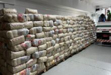 Photo of 2100 Cestas Básicas serão distribuídas pela Seasc