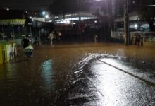 Photo of Chuva torrencial, acompanhada de vento, provoca transtornos em Concórdia (Com Imagens)
